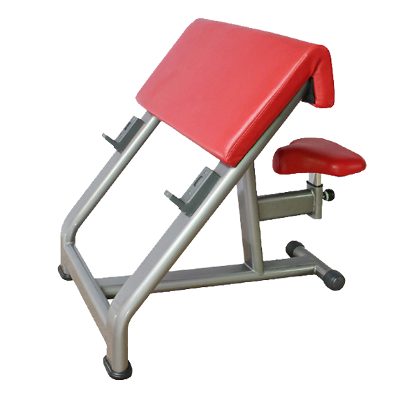 Bft 3033 Arm Curl Bench Scott Exercise Bench Bft Fitness Equipment